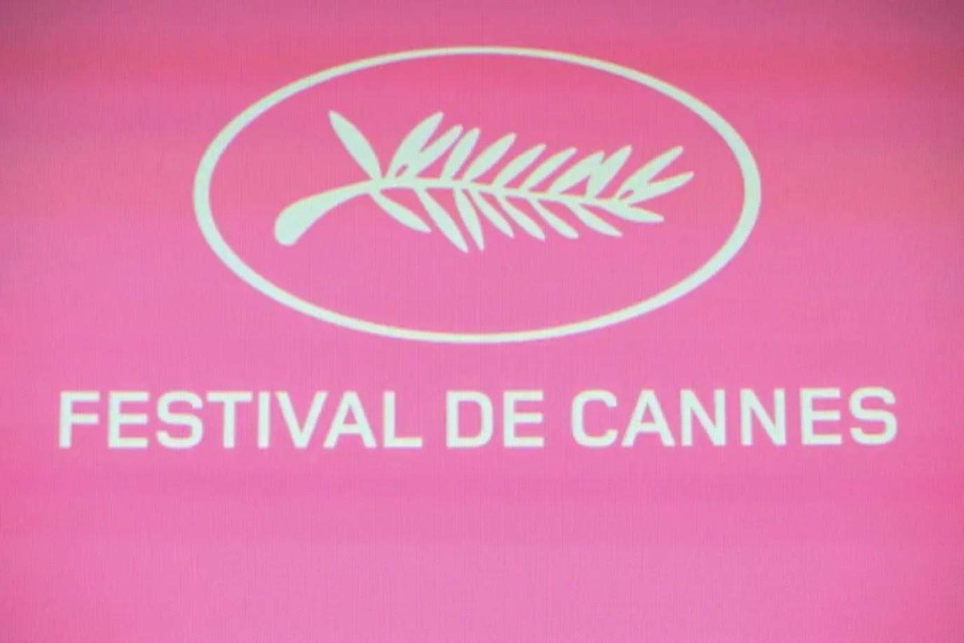 مركز السينما العربية يوسع آفاقه في مهرجان كان بجوائز وتكريمات وشراكات جديدة