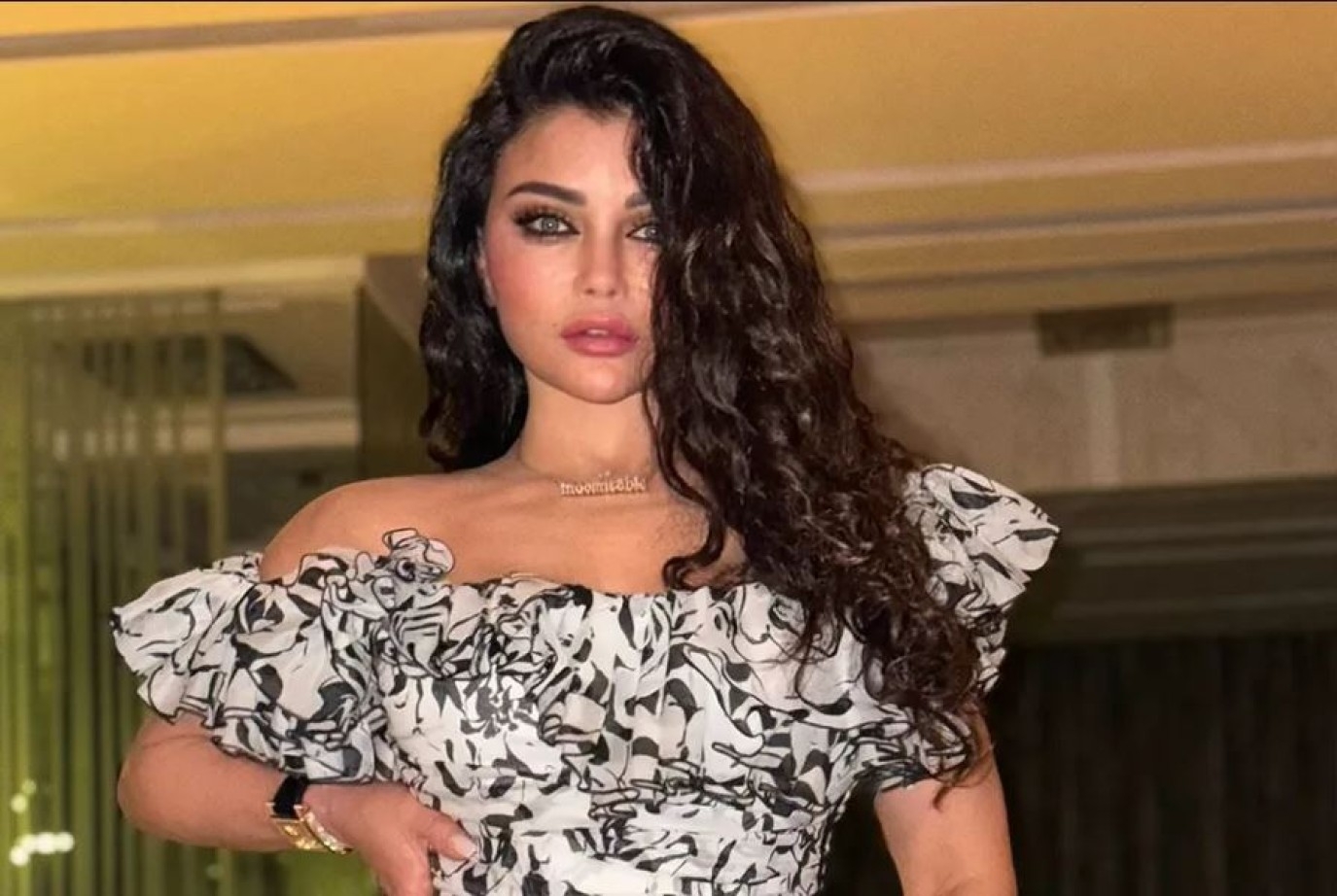 أزمة هيفاء وهبي ومصطفى كامل تصل إلى القضاء.. ما القصة؟