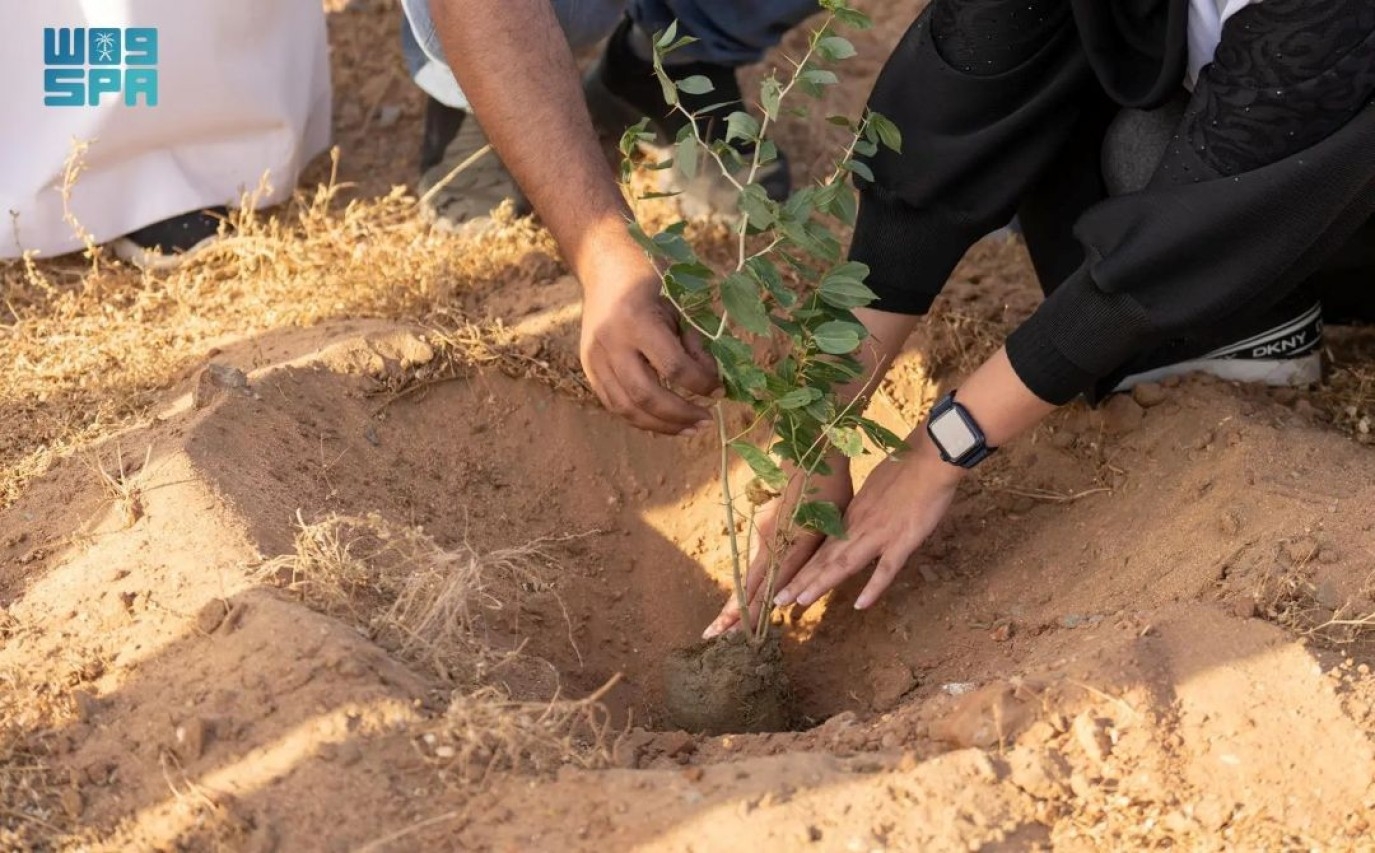 الغطاء النباتي السعودي يزرع أكثر من 20 مليون شجرة في الرياض
