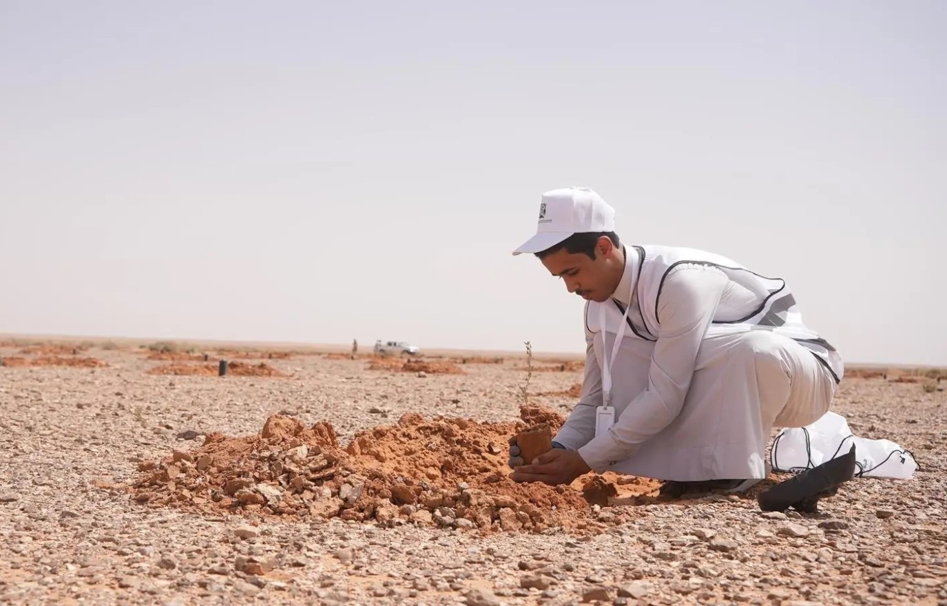محمية الملك سلمان الملكية تطلق حملة نصنع التأثير لتنمية الغطاء النباتي