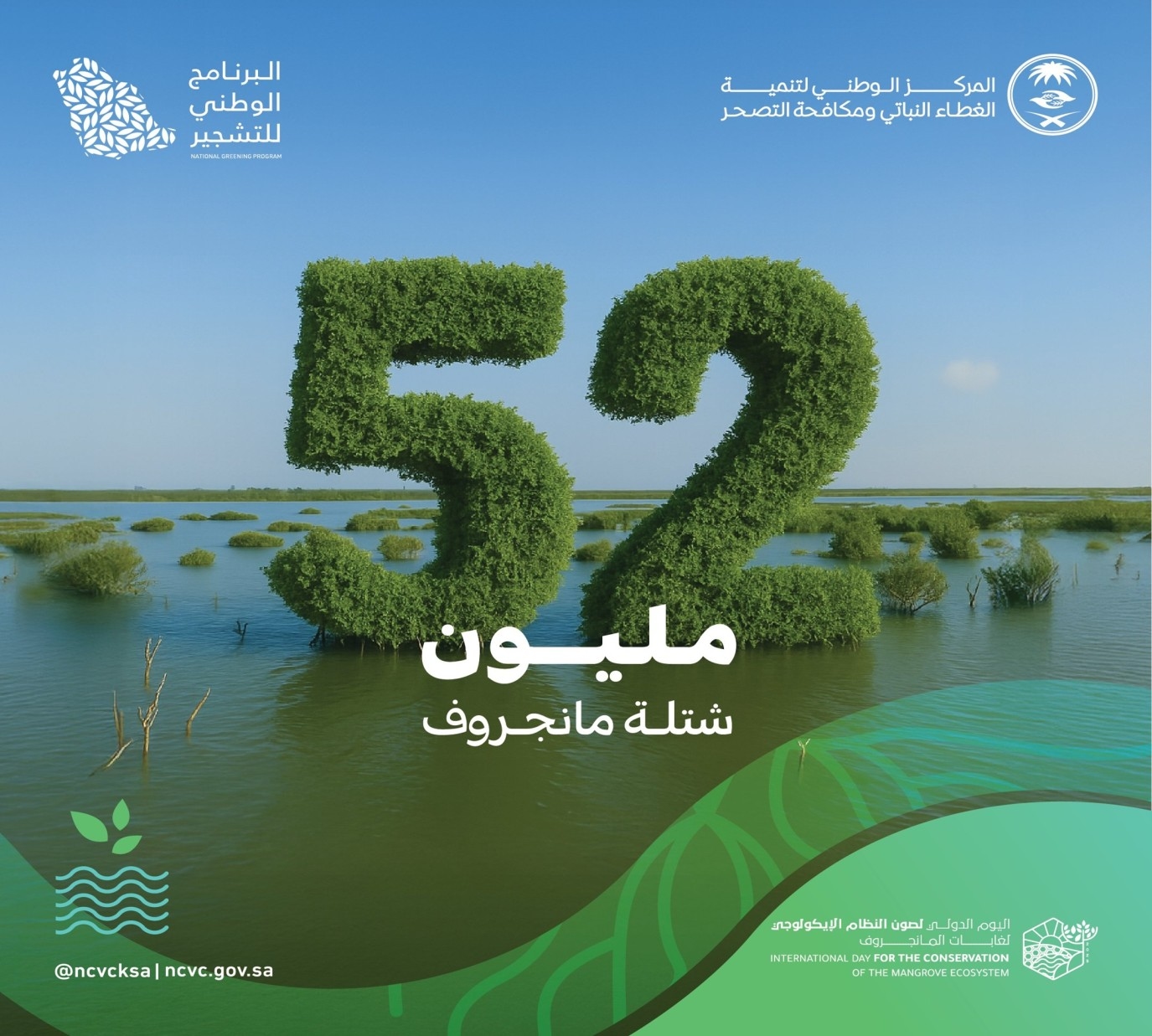 الغطاء النباتي يزرع 52 مليون شجرة مانغروف على سواحل السعودية