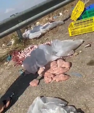 الاحتلال يتلف كميات من اللحوم والدواجن في كفر الديك