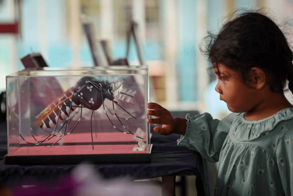 Dengue, chikungunya may soon be endemic in Europe