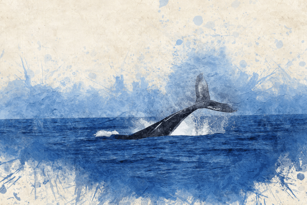 Earliest proof of humans using whale bone tools discovered
