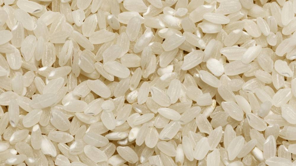 The future in a grain: Malaysia's bet on gene-edited rice