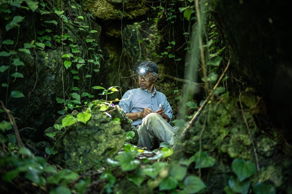 Bone collectors: Searching for WWII remains in Okinawa