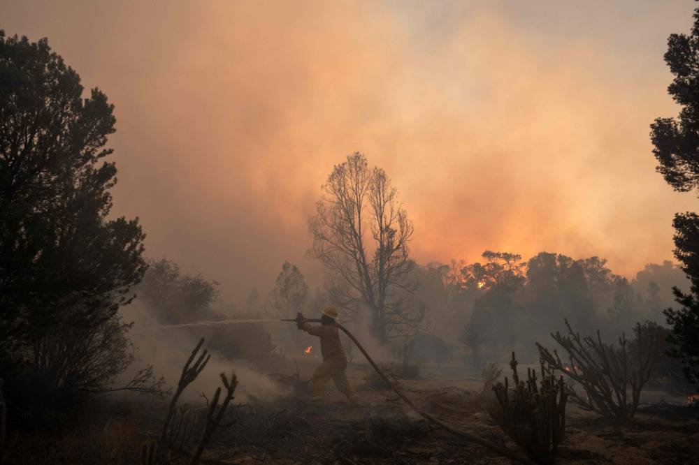 Firefighters shot dead while battling wildfire in US