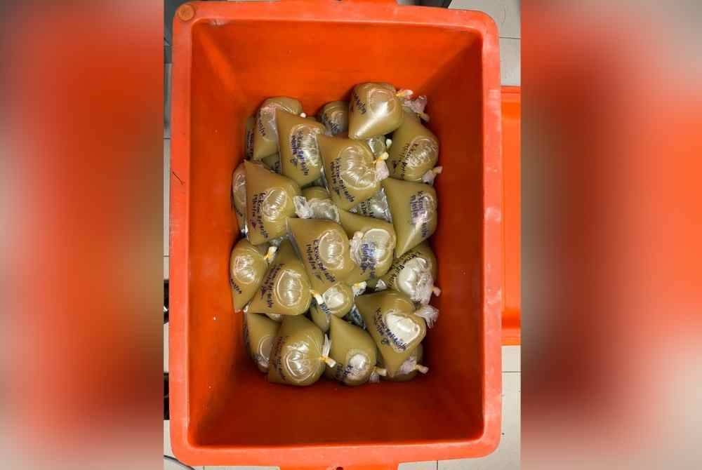 Ketum leaf users can be sent to rehab even if not addicted