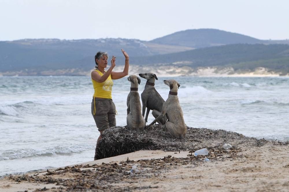 Dying breed: Tunisian dog lovers push to save age-old desert hound