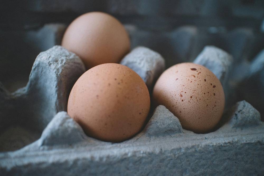 Trump administration sues California over egg prices