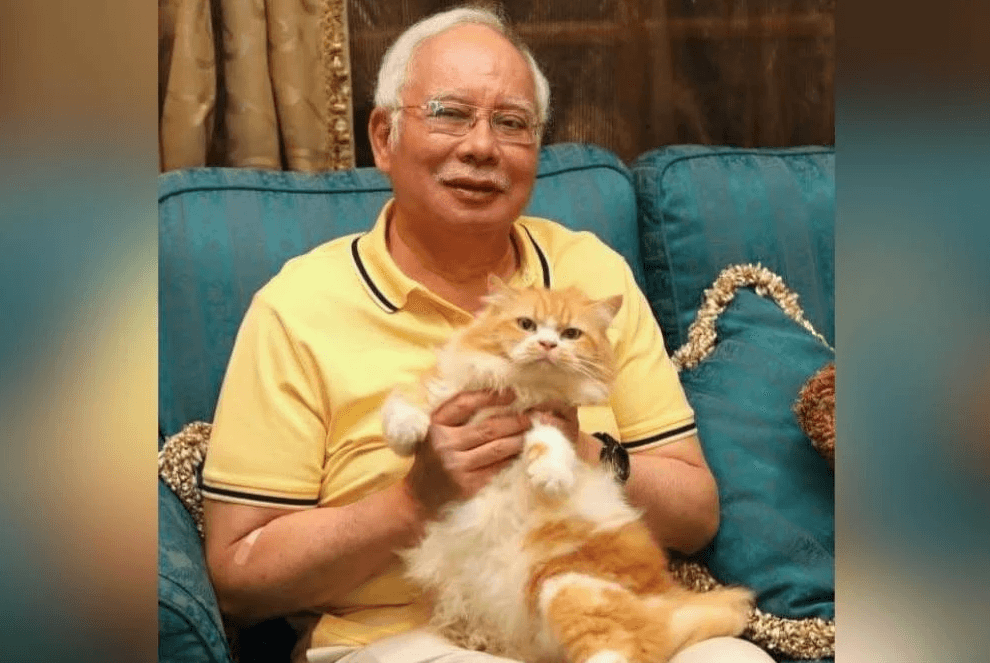'Goodbye, Kiky' - Najib shares news of beloved cat's passing