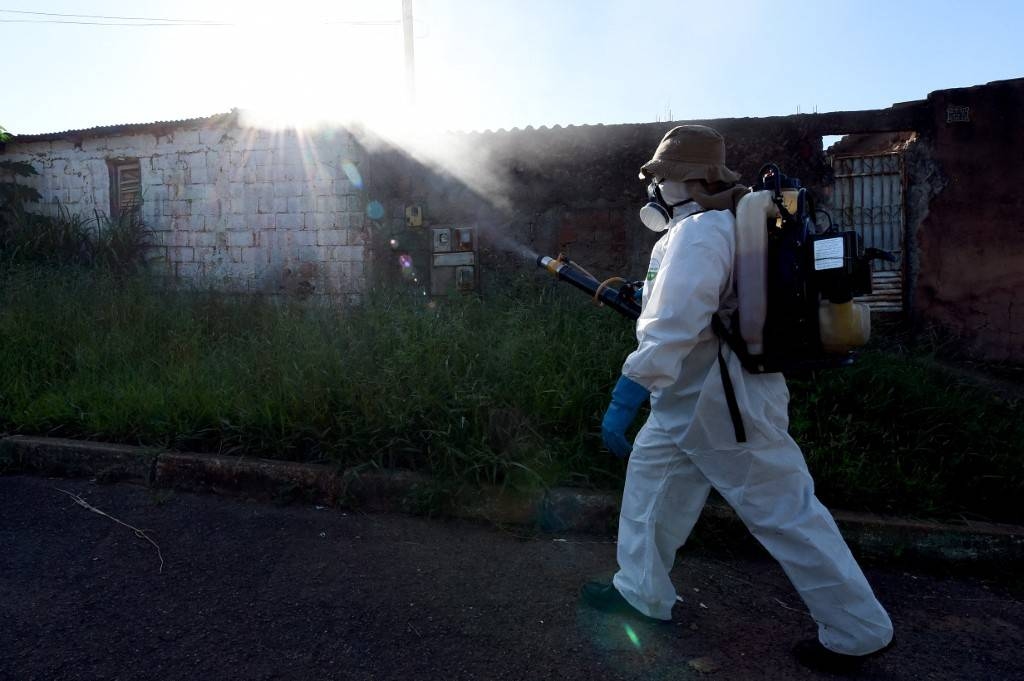 Chikungunya in China: What you need to know