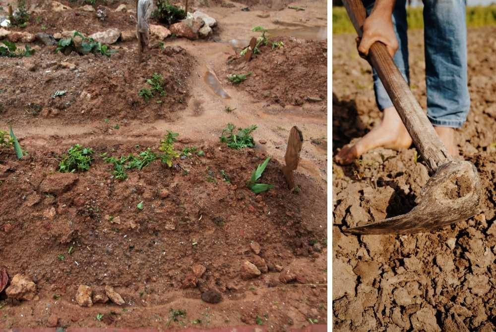 Islamic law prohibits grave exhumation, but allows exceptions for 'urgent need'