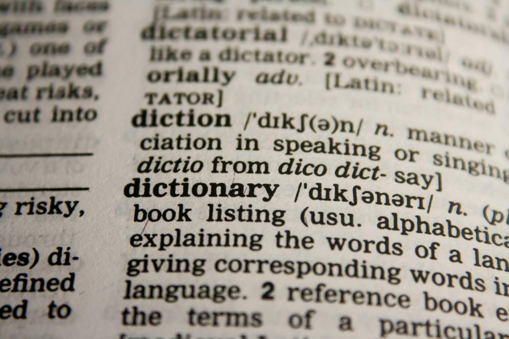 Cambridge Dictionary adds online terms skibidi, tradwife and delulu