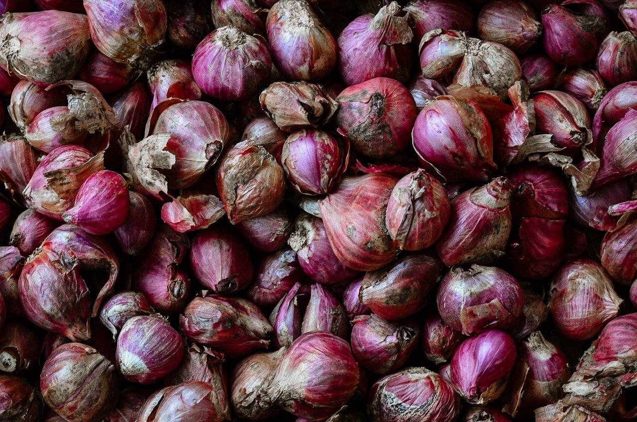 Kelantan to become Malaysia's 'Onion King' by 2026?