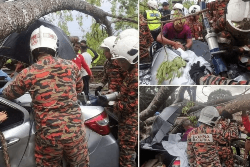 Family of three escaped unharmed after car crushed by falling tree