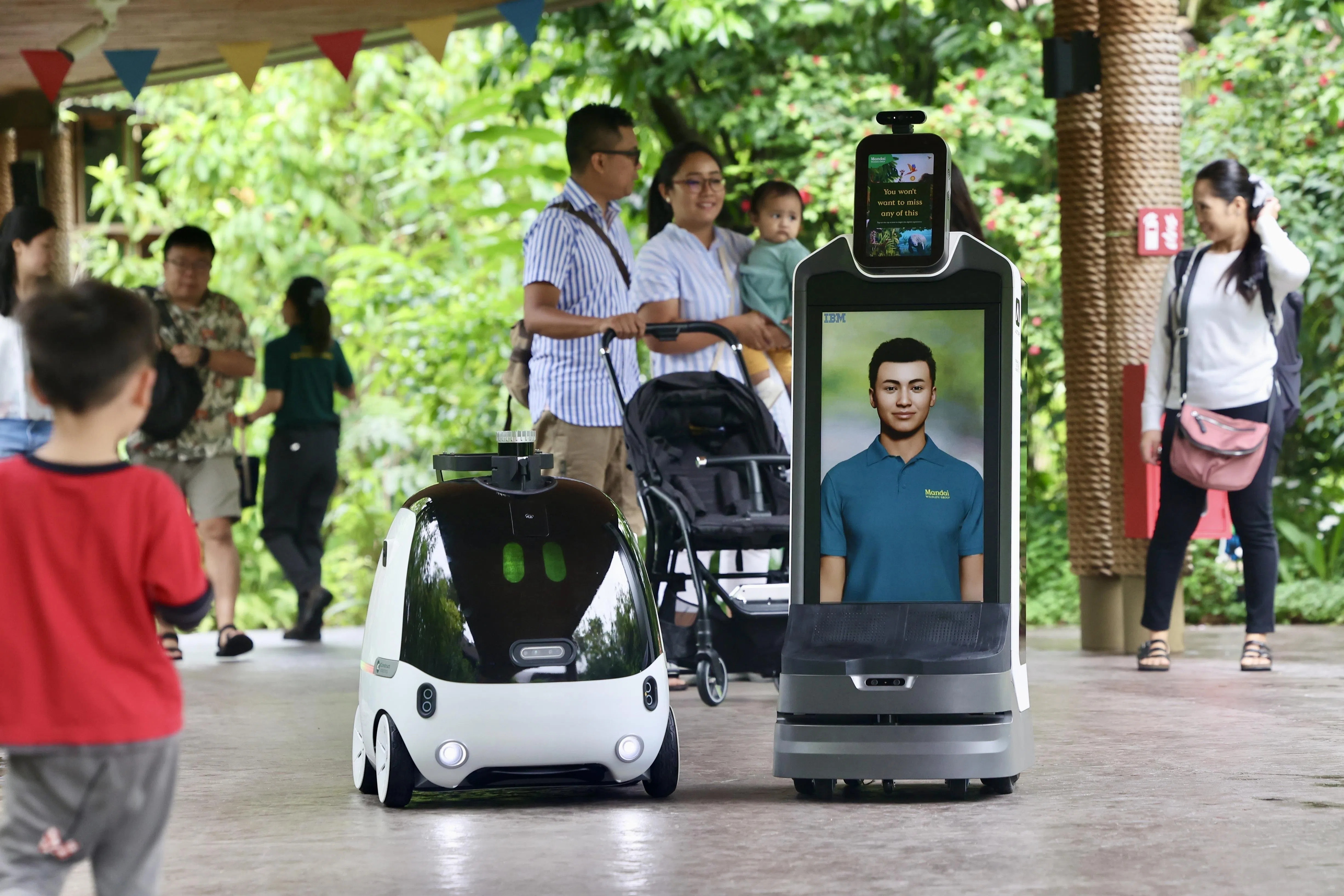 How Singapore can ride the AI wave into the future: Opinion