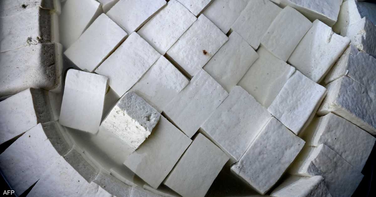 هل يضعف خصوبة الرجال؟.. خبيرة ترد على جدل "جبن التوفو"