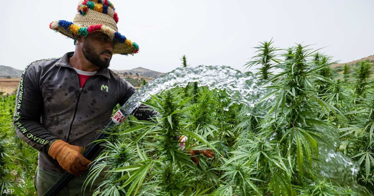 موجة حر استثنائية تضرب المغرب.. تحذير للأطفال والمسنين