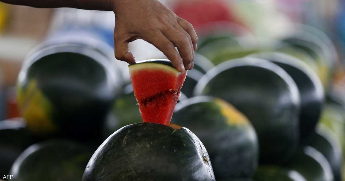 خلافا للاعتقاد الشائع.. علماء يكشفون أسرار بذور البطيخ