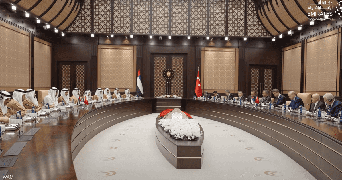 رئيس دولة الإمارات ونظيره التركي يبحثان مستجدات المنطقة