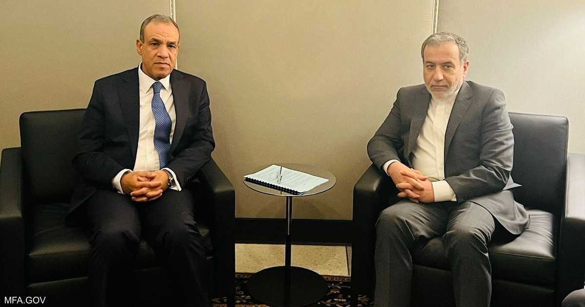 عبد العاطي وعراقجي يبحثان التطورات الأخيرة في سوريا