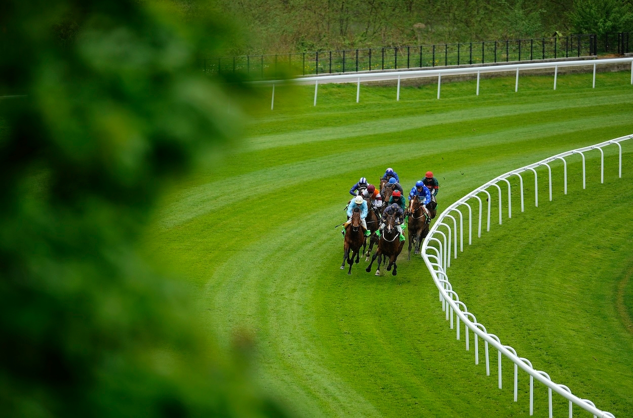 Bets for Chester and Ascot