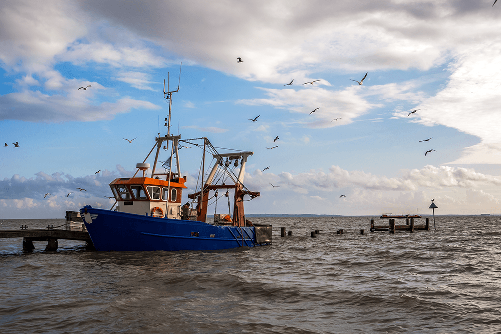 Letters: Britain sold its fishing industry down the river