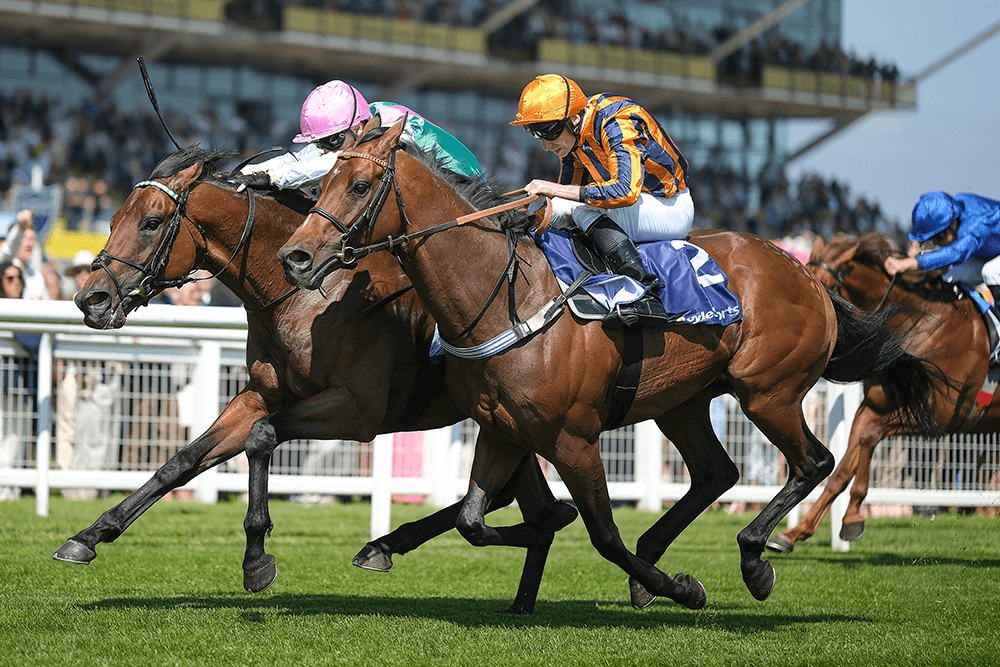 The intrigue of the jockeys merry-go-round