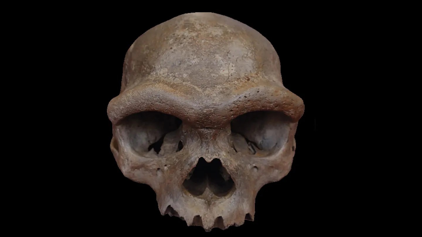 We finally know what an ancient species of human looked like