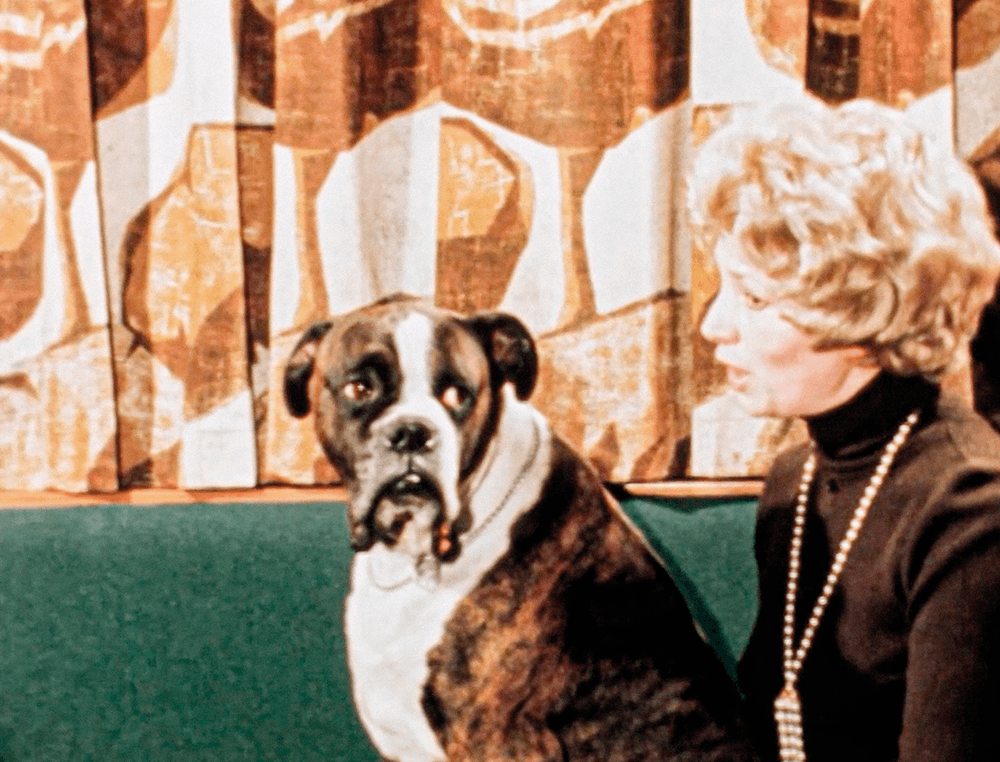 The vicious genius of Adam Curtis
