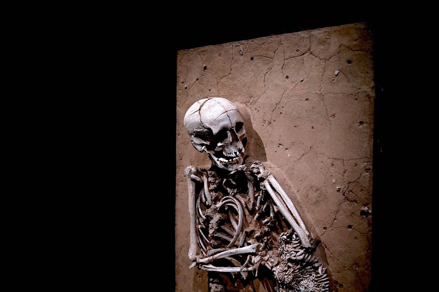 The impossible politics of ‘ancestral remains'