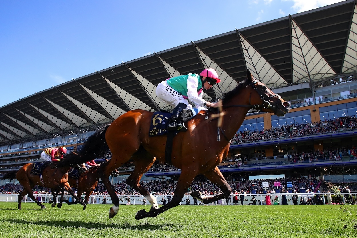 Five bets for day one of Royal Ascot