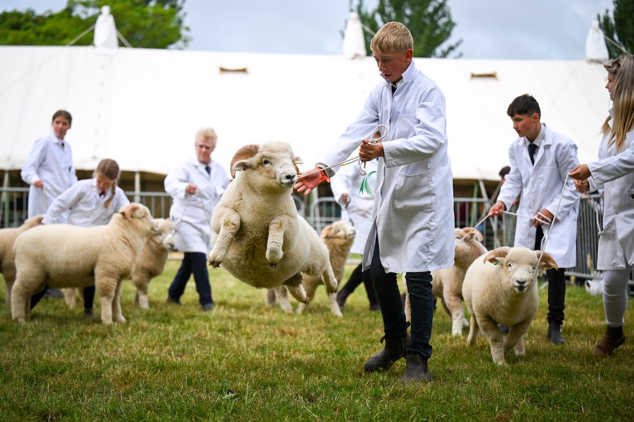 What could be better than an English county show?