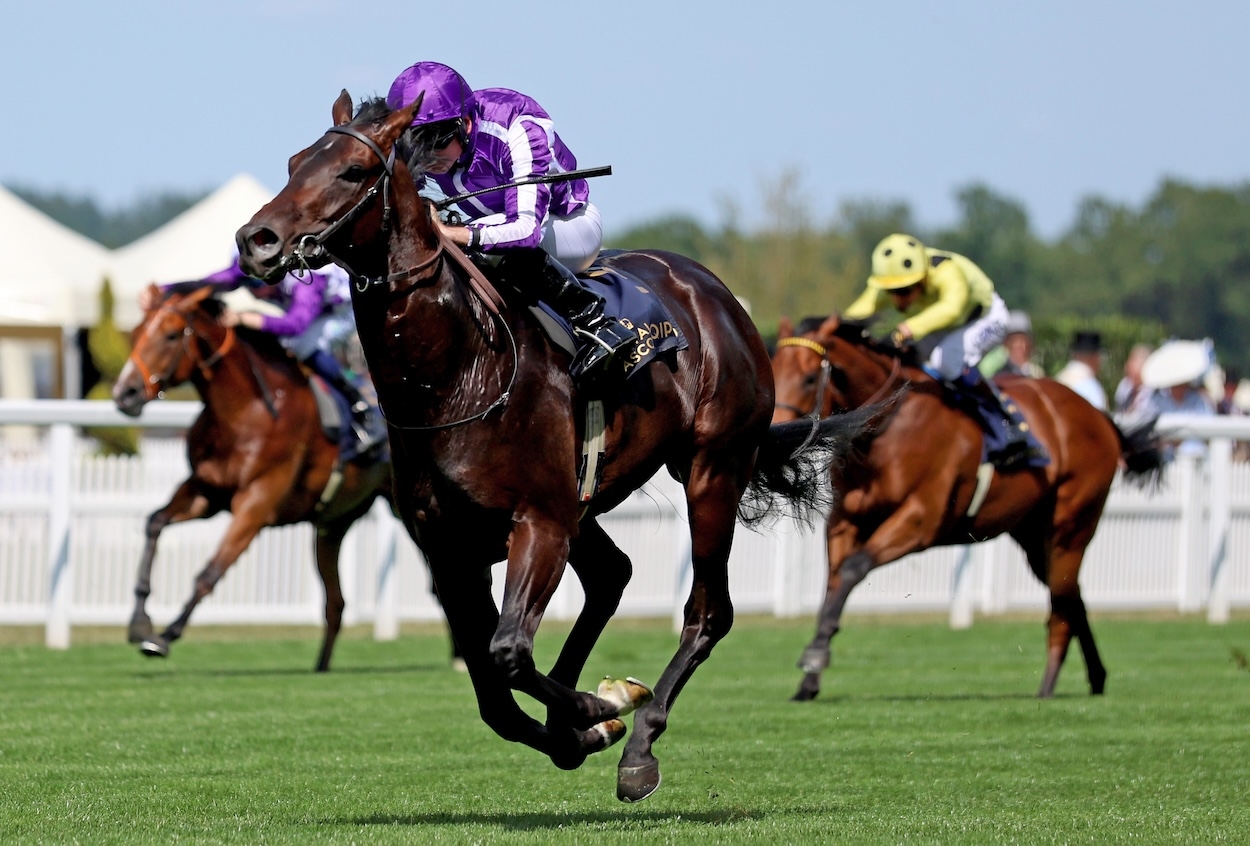 A trio of tips for day three of Royal Ascot