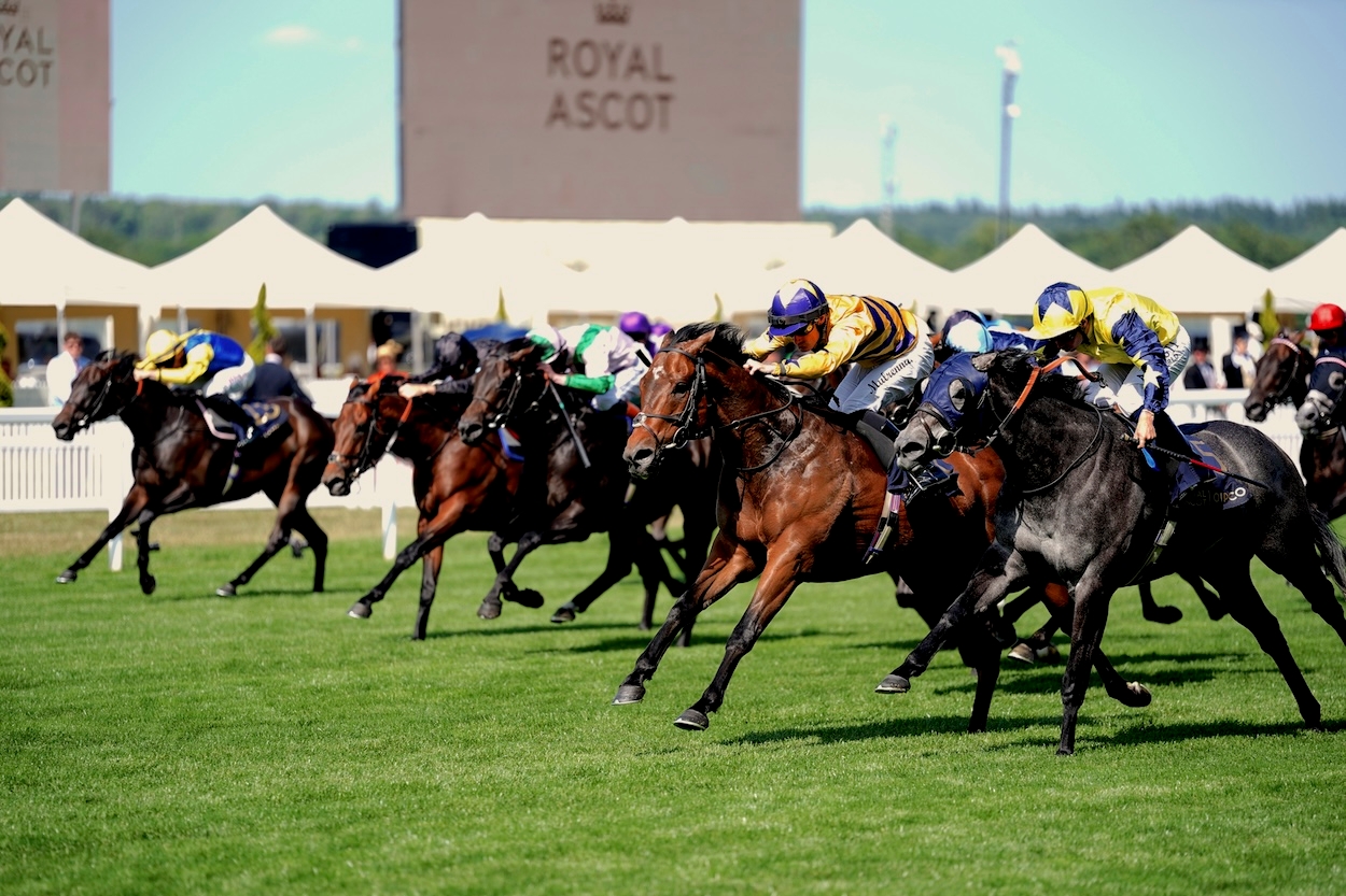 Three wagers for day two of Royal Ascot