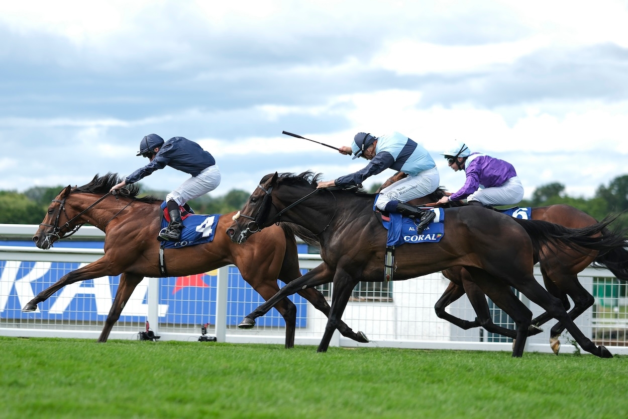Four wagers for Haydock and Sandown tomorrow