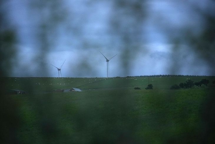 What Trump gets right about Britain's windfarms