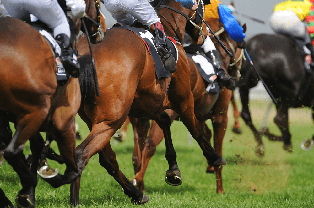 Labour is risking the future of racing