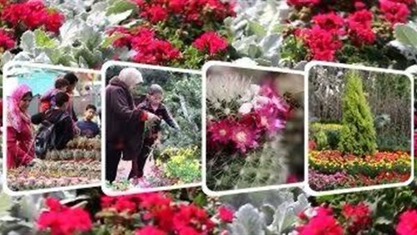 وزارة الزراعة تقرر تمديد فعاليات معرض "زهور الربيع" حتى نهاية شهر مايو الجاري