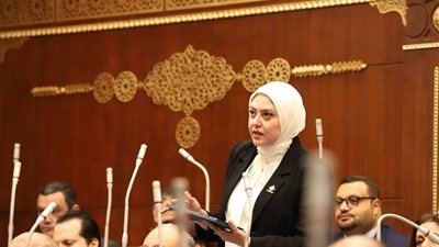 النائبقة نهى زكي تستعرض تقرير بشأن دراسة آفاق الطاقة المتجددة في مصر