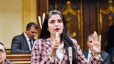 «بعد إحباط مخطط حسم».. النائبة إيرين سعيد لـ تحيا مصر: مصر تختار السلام بإرادتها.. وصقور الأمن تلتهم كل من يخطط لإرهابها