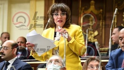 نائبة تطالب بمنح رخصة للصيادلة العاملين بالحكومة لإدارة الصيدليات.. ورئيس النواب يعلق