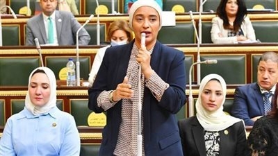 الحكومة تستجيب للنائبة أميرة أبوشقة بشأن دفعة صيدلة 2019