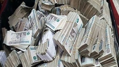 التحفظ على أموال رئيس الإدارة المركزية لحماية نهر النيل في قضية رشوة الري