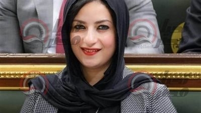 اقتراح برلماني لتنظيم ومراقبة الحملات الخيرية والإعلامية في مصر