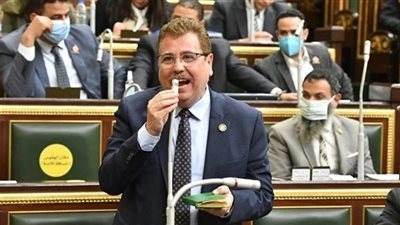 موازنة النواب لـ 'تحيا مصر': إقامة المشروعات الاستثمارية بمنطقة رأس الحكمة يساهم في زيادة الصفقات التجارية وتوفير العملات الأجنبية