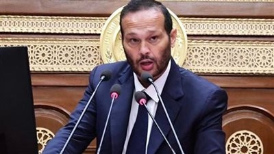 رئيس صناعة الشيوخ: أكثر من 12 ألف مصنع يعاني من التعثر