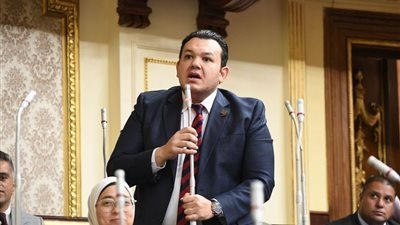 نائب التنسيقية أحمد مقلد يؤكد أهمية تحسين الخصائص السكانية ودعم الاستراتيجية الوطنية للسكان