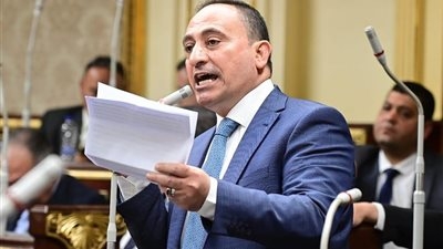 النائب محمد زين الدين: توجيهات الرئيس للحكومة خلال موسم حصاد القمح هامة للنهوض بالزراعة وتحقيق الاكتفاء الذاتي وتقليل فاتورة الاستيراد